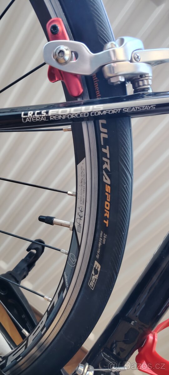 Focus Izalco - 5