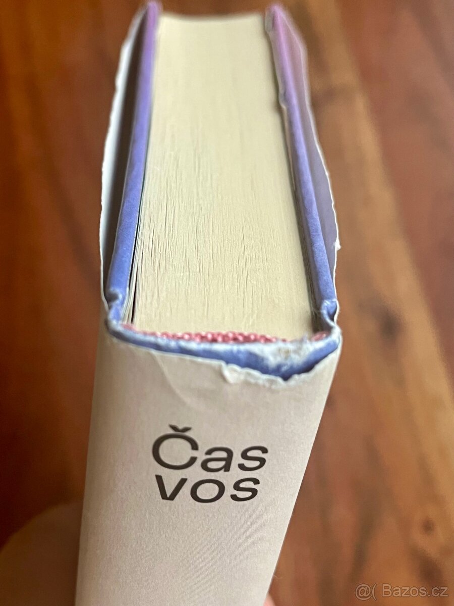 Čas vos - Alena Mornštajnová - 5