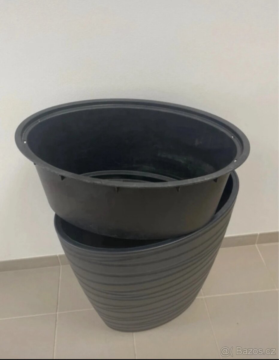 Xxl benjamin vcetne kvetinace - 5