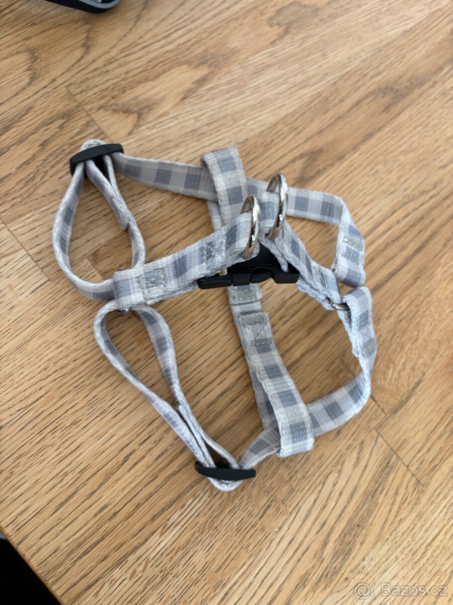 Dva postroje pro štěně - 5