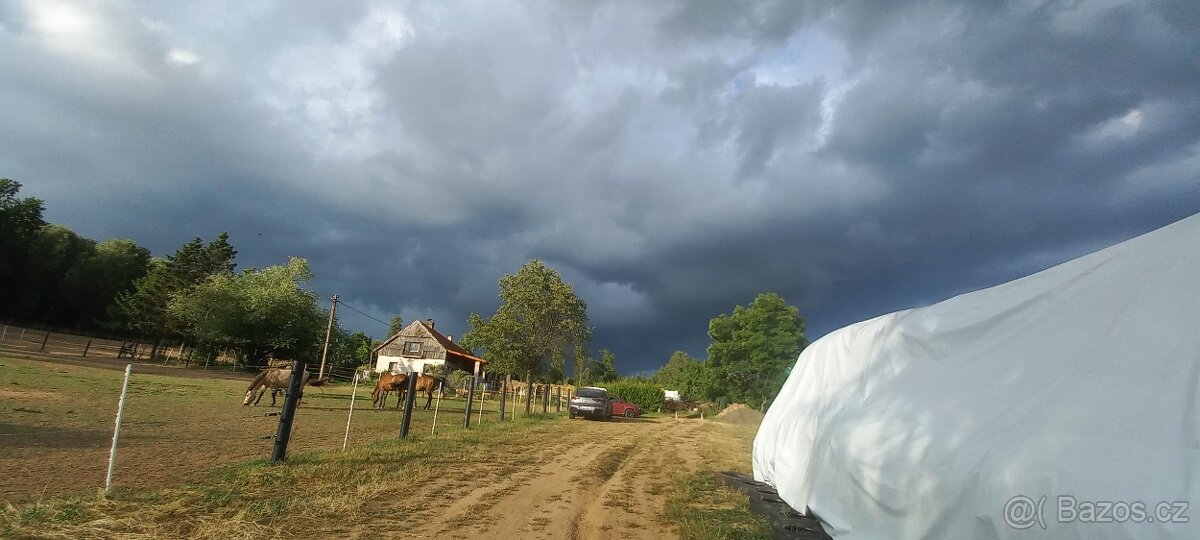 Ustájení koní - 5