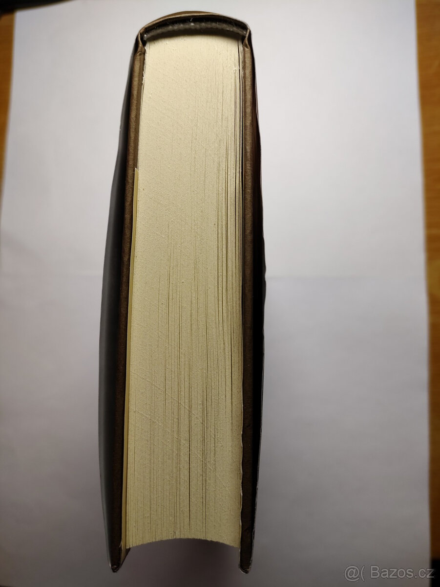 20. oběť (James Patterson, Maxine Paetro) - 5