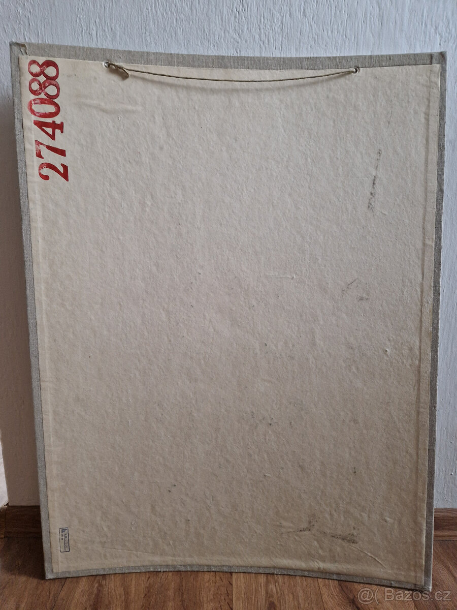 Velký starý školní výukový plakát obrázek ptáci sýkorky - 5