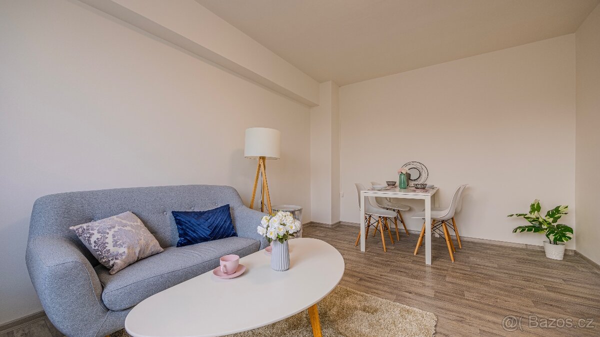 Prodám byt 1+1 s nájemníkem – Hodonín - 5