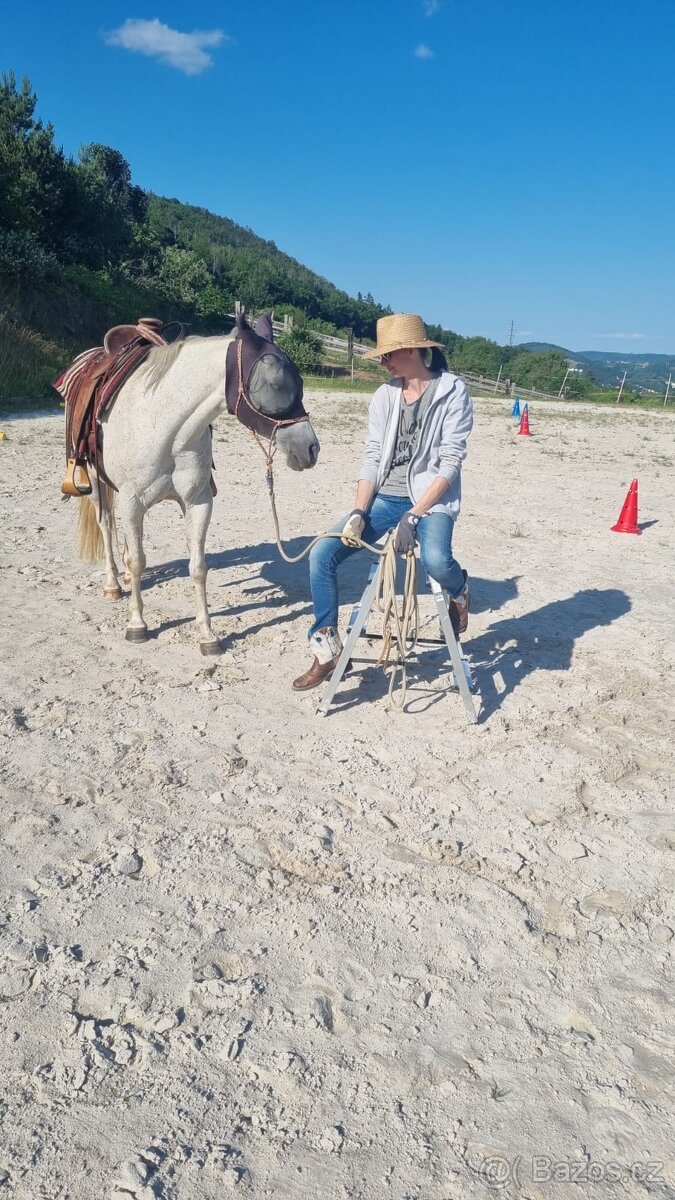 Nabízím ustájení v rodinné stáji v Berouně - 5