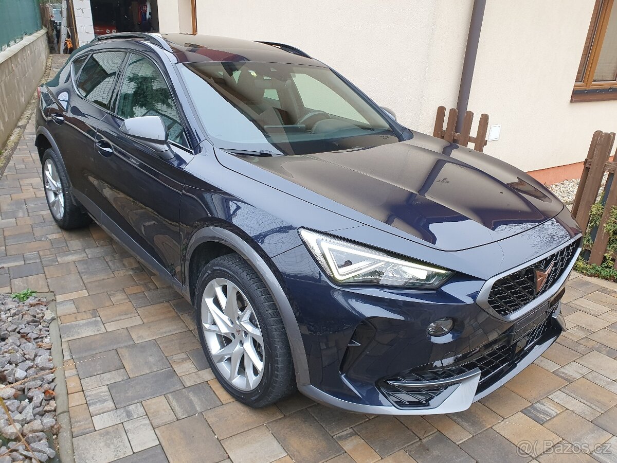 Cupra Formentor 2.0tdi M6 Panorama - 5