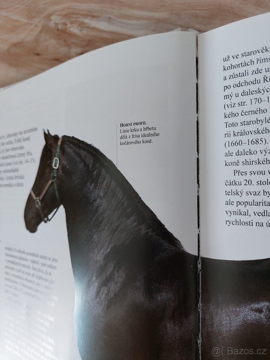 Encyklopedie koni - 5