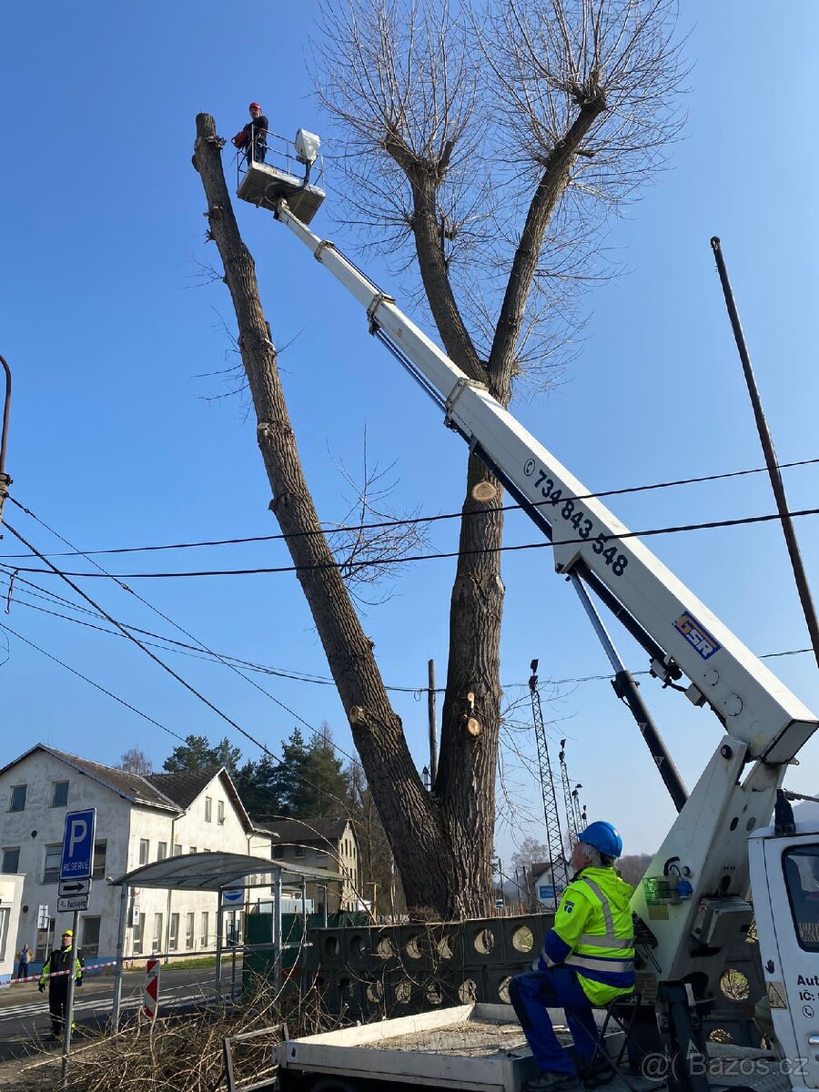 Kácení stromů v Ústeckém kraji - 5
