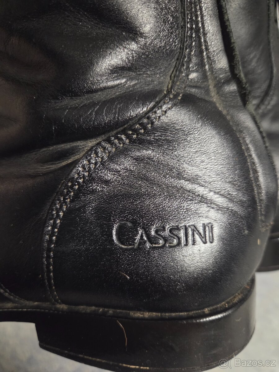 Zimni pérka Cassini - 5