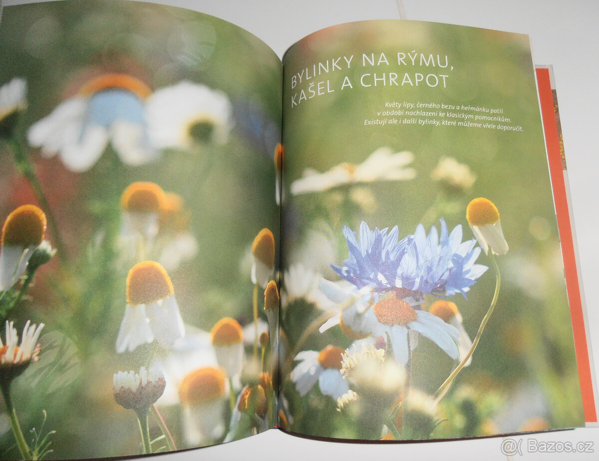 Velká bylinková lékárna - 5