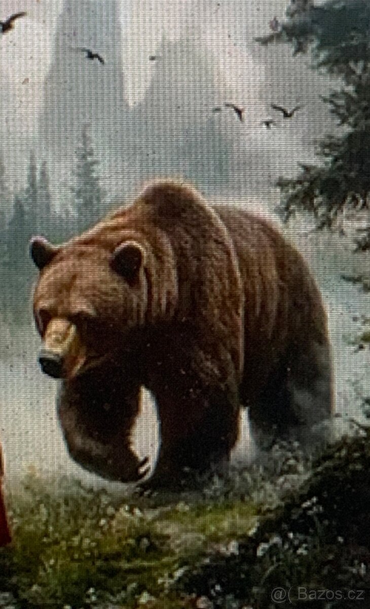 přívěs ,...50cm ,.. - 5