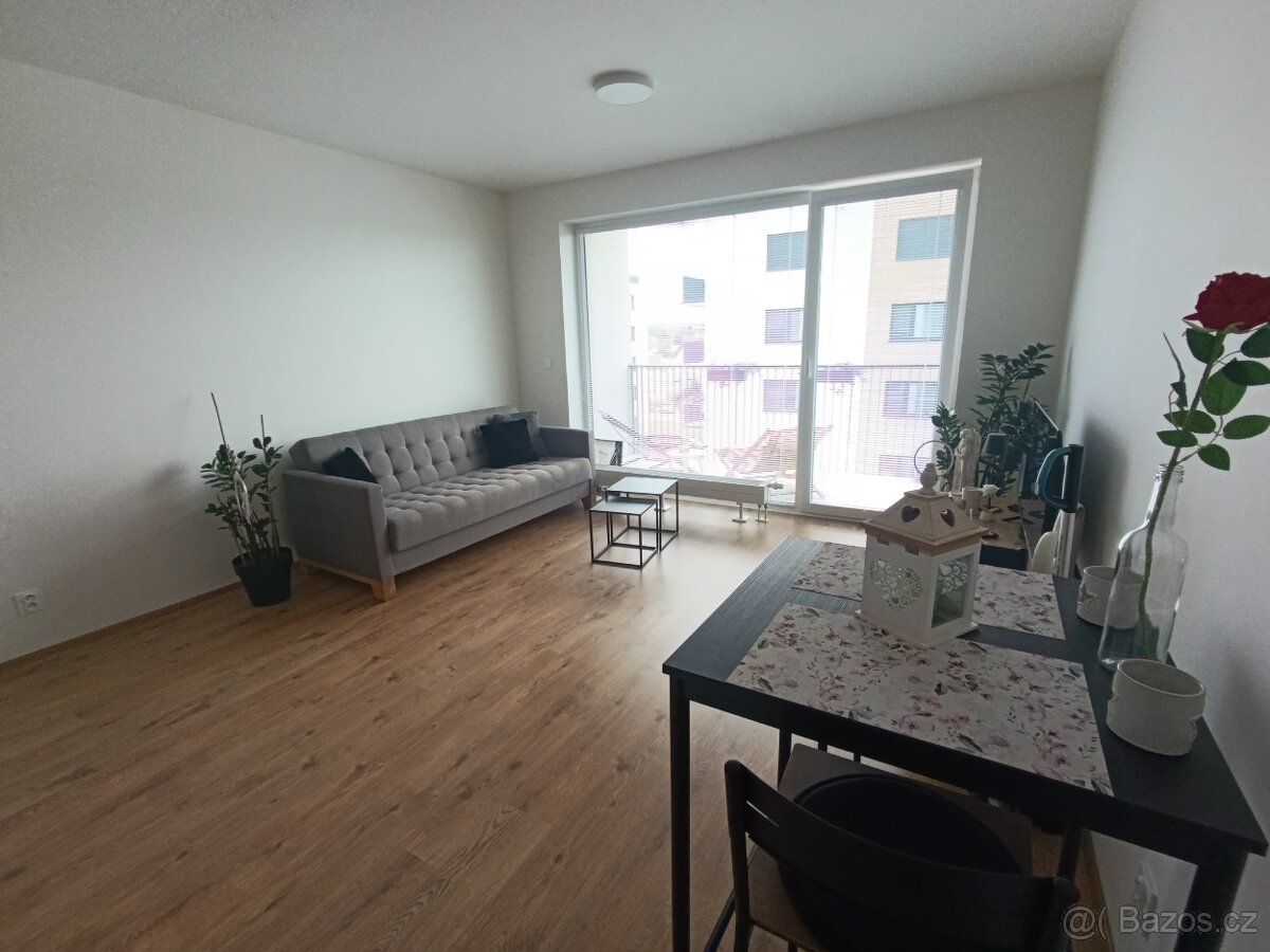 Pronájem bytu 1+kk, novostavba Opava, Císařského pluku - 5