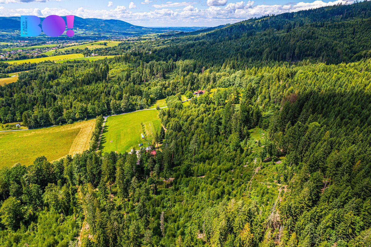 Prodej lesa, 12430 m², Písek - 5