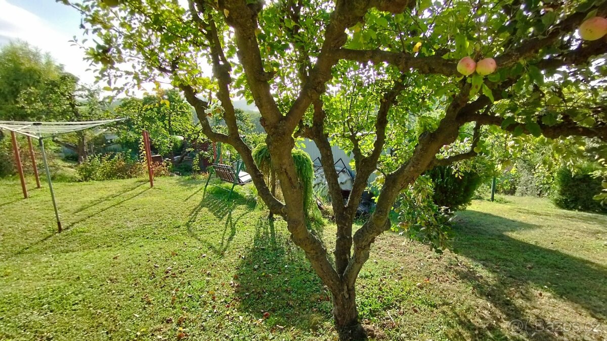 Zahrada Třeboutice - 5