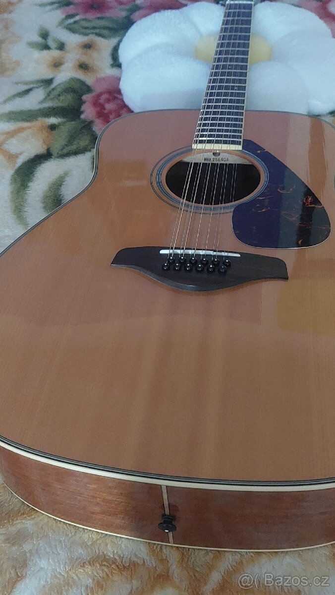 Dvanácti strunná kytara - 5