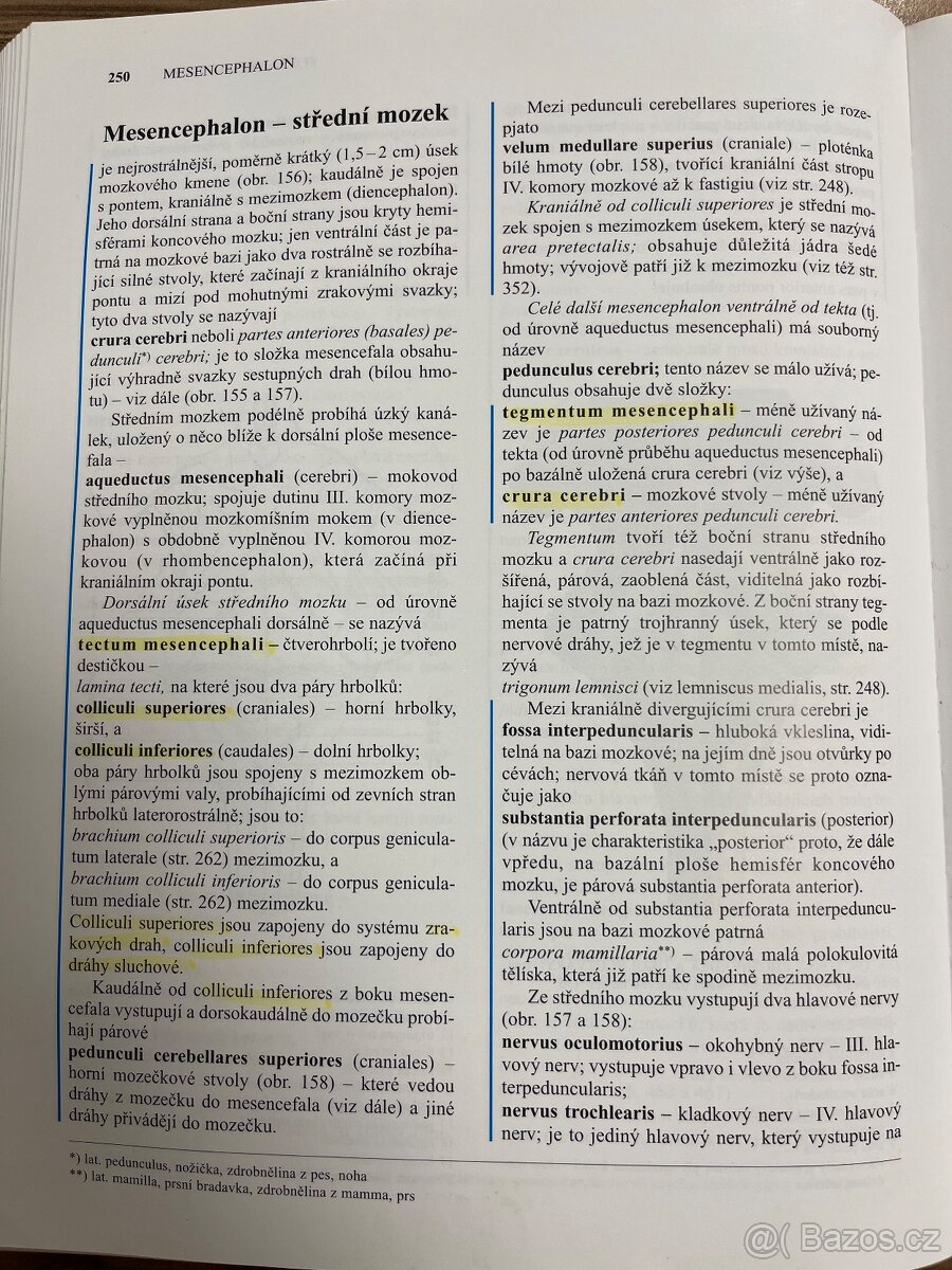 Anatomie 3 - Čihák - 5