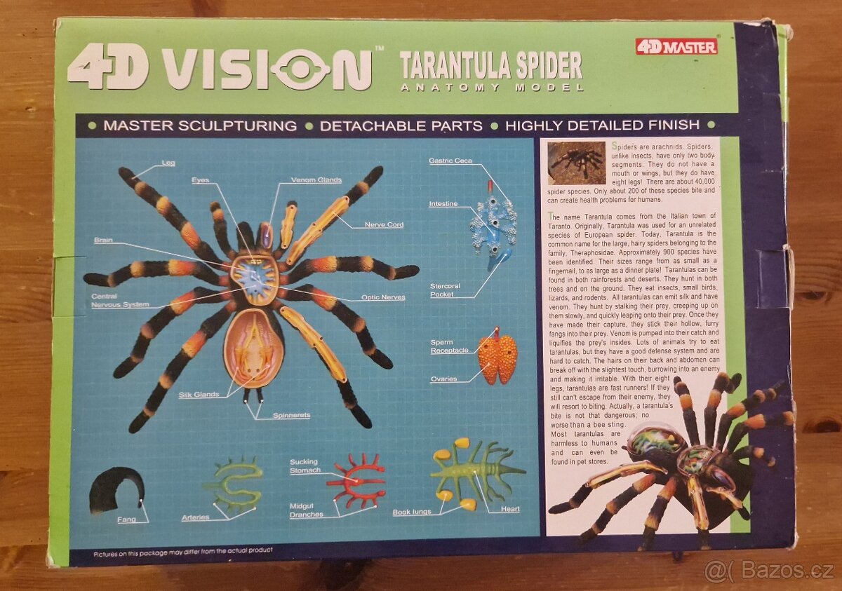 4D model Tarantule - 5