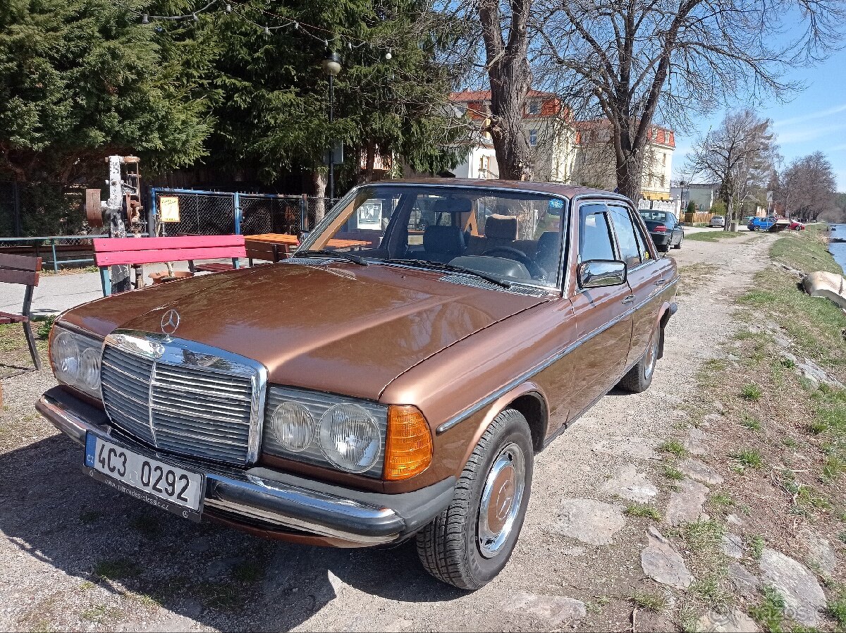 Mercedes w123 - 5