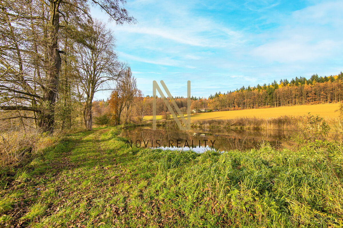 Prodej, rybník, 2 713 m², Týnec, okres Klatovy - 5