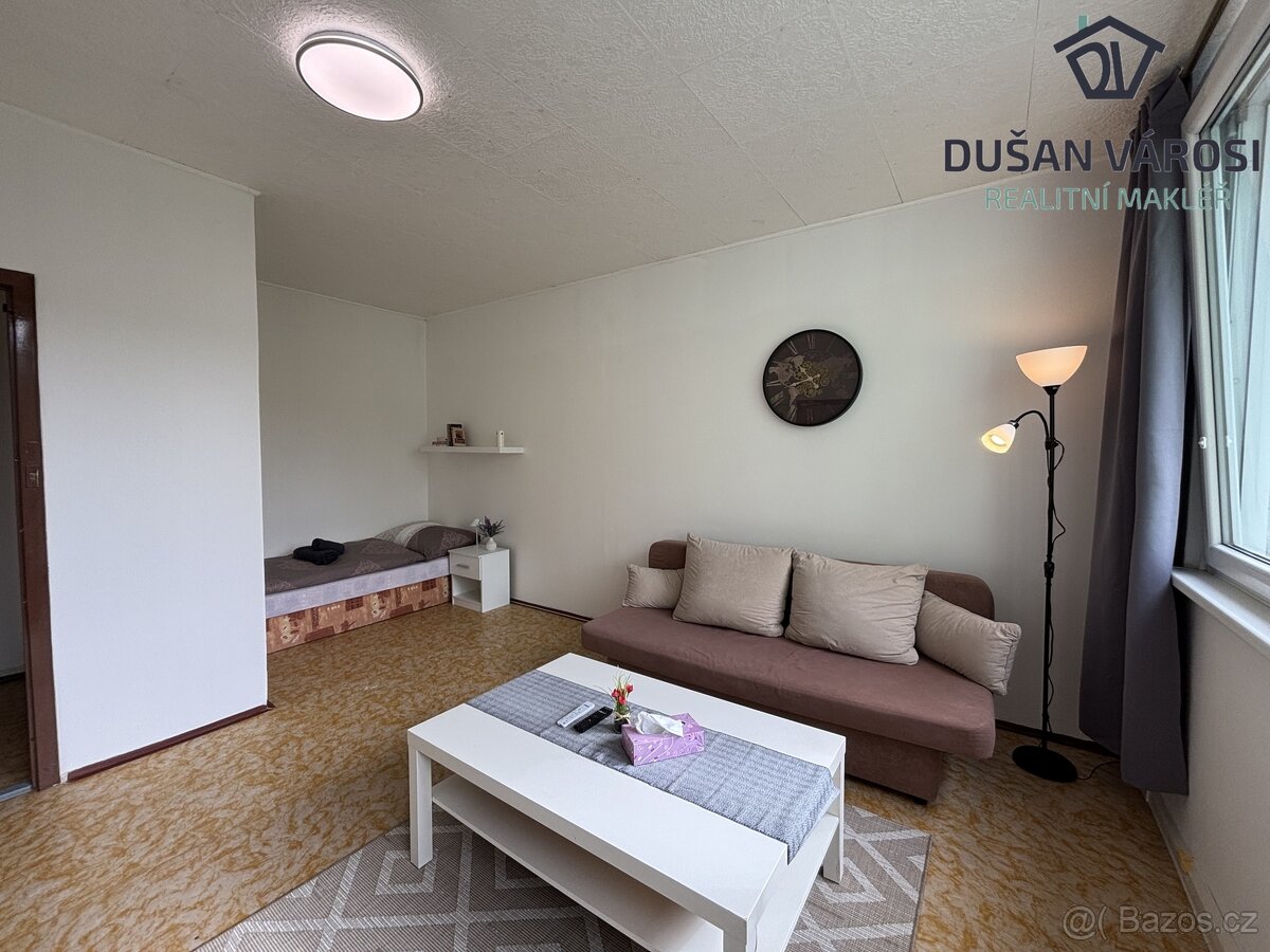 Pronájem VYBAVENÉHO bytu 1+1, Nové sady - 5