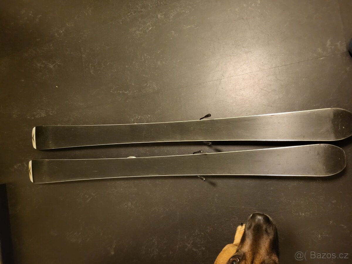 Dětské lyže DYNASTAR Team Speed 120cm - 5