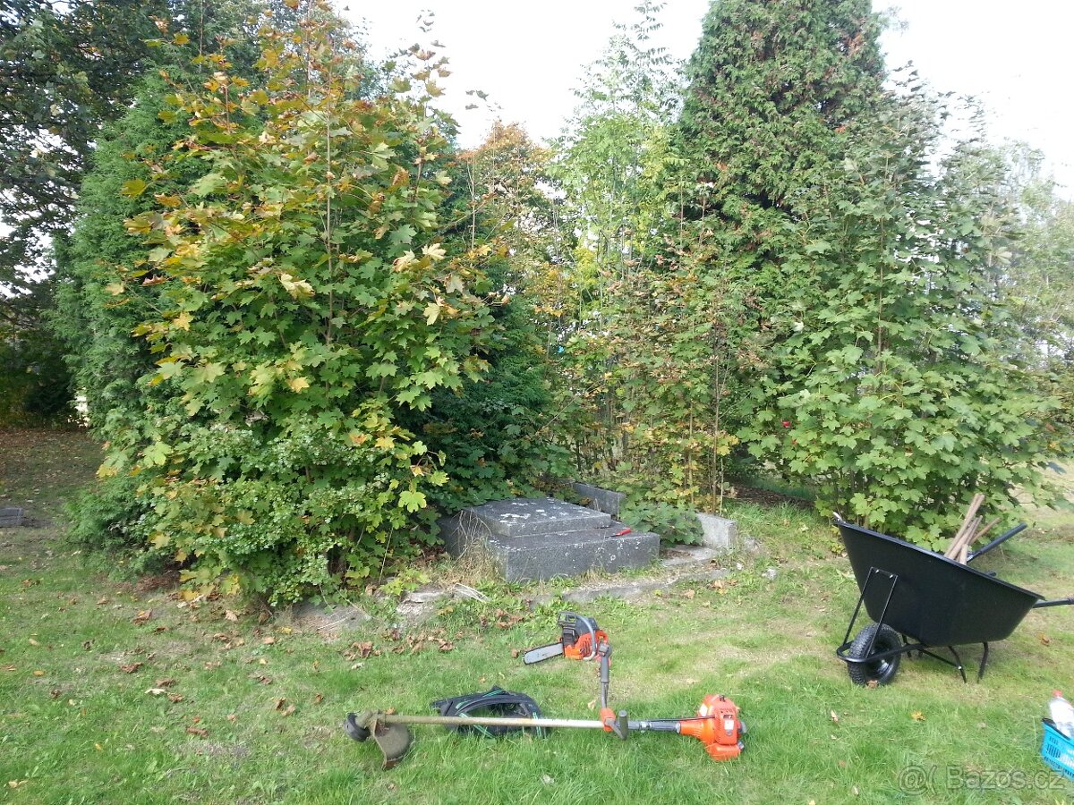 Sekání trávy zástřih živých plotů frézování pařezů - 5