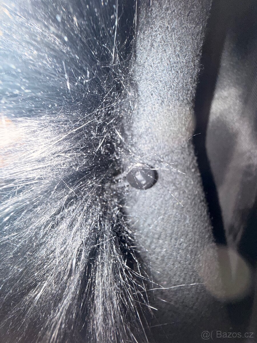 Černý kabát s kožíškem - 5