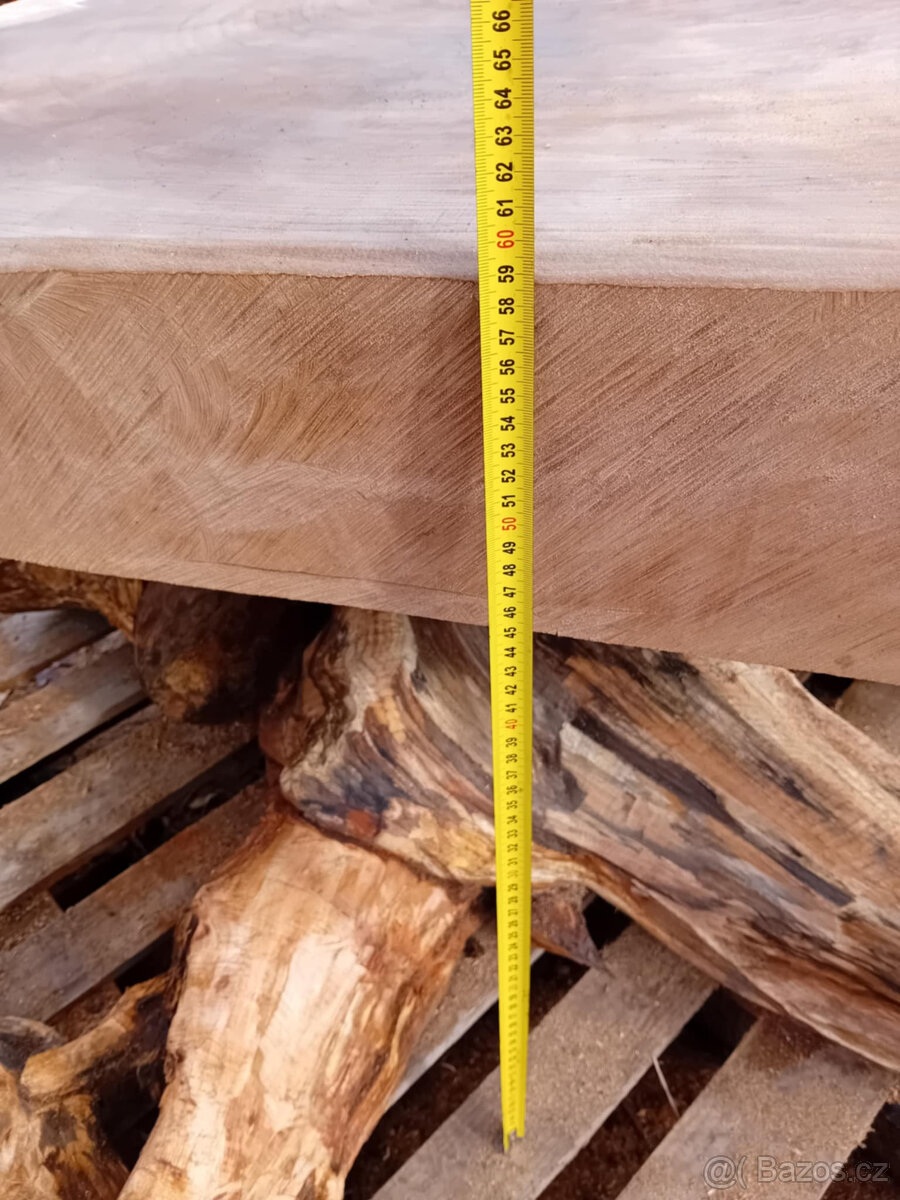 masivni stul na korenu - 5