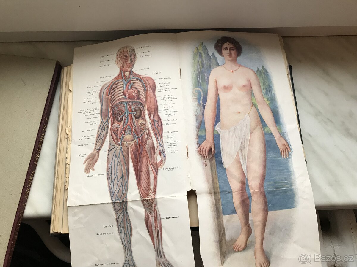 Domací lékařka - 5