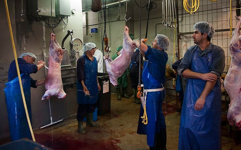 od ihned pomocné práce muži ženy v Rakousku - 5