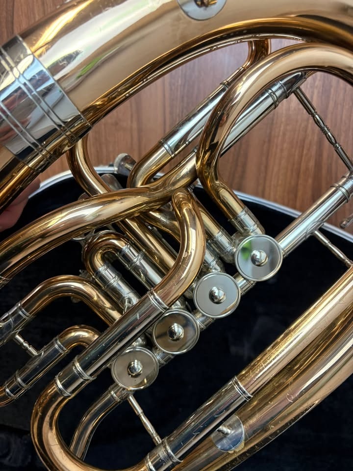 Baryton baskřídlovka V.F. Červený - 5