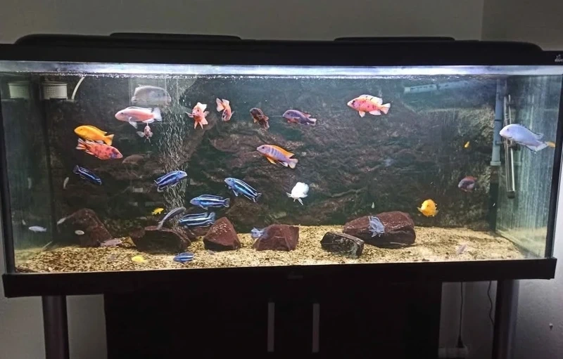 Velký akvarijní set DIVERSA dálkové ovládání - 5