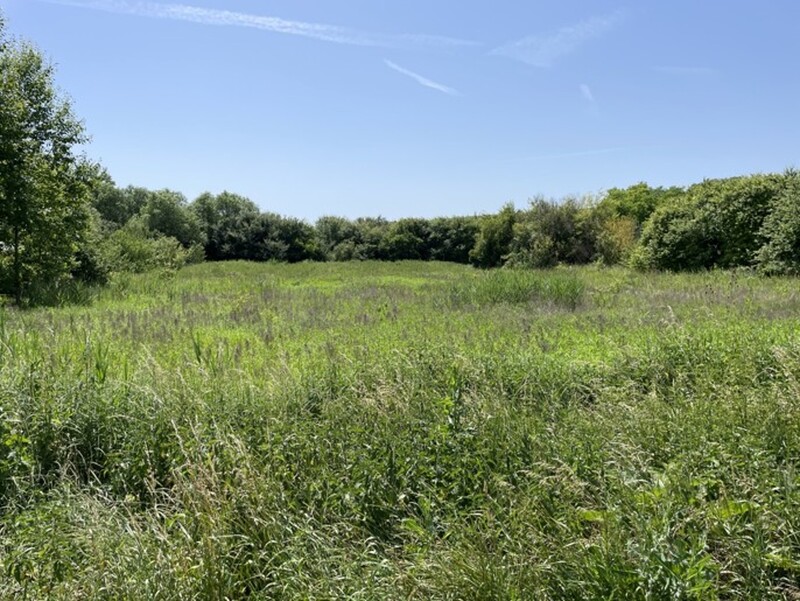 Prodej stavebního pozemku, 7 284 m², Diváky - 5