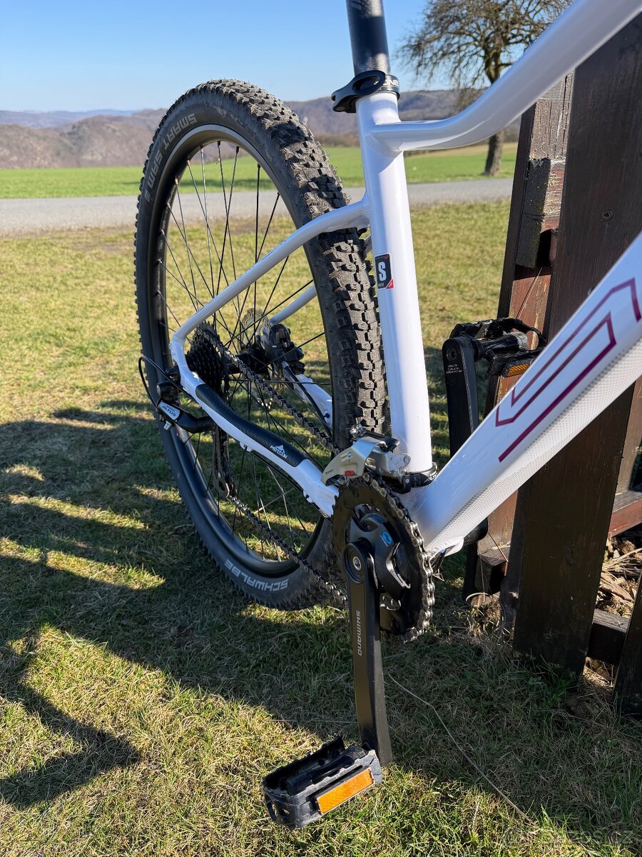 Superior XC819 W - 5