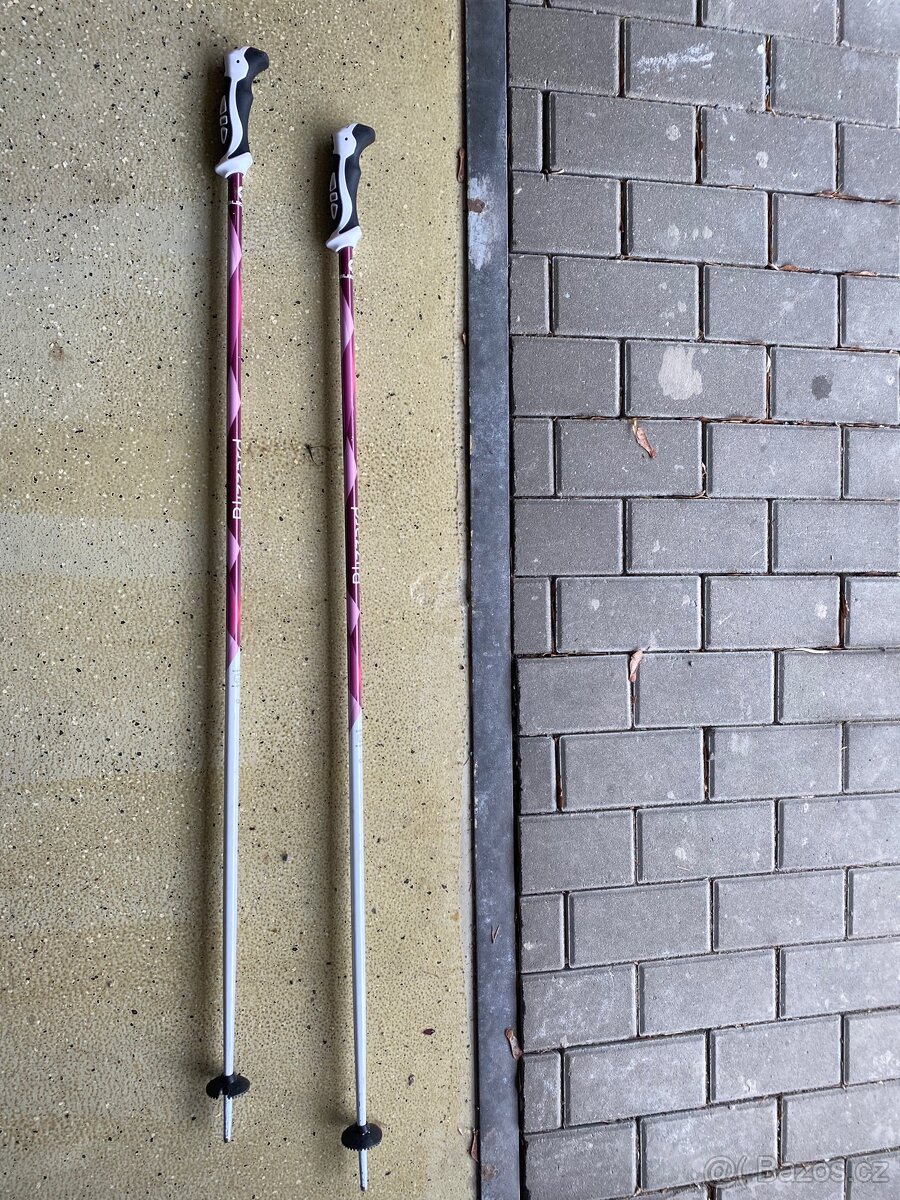 Lyžařské hůlky - 5