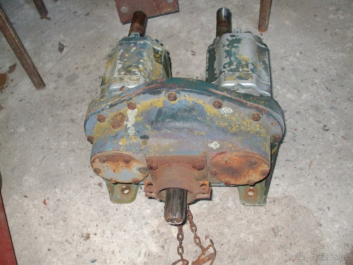 pístnice velké - 5