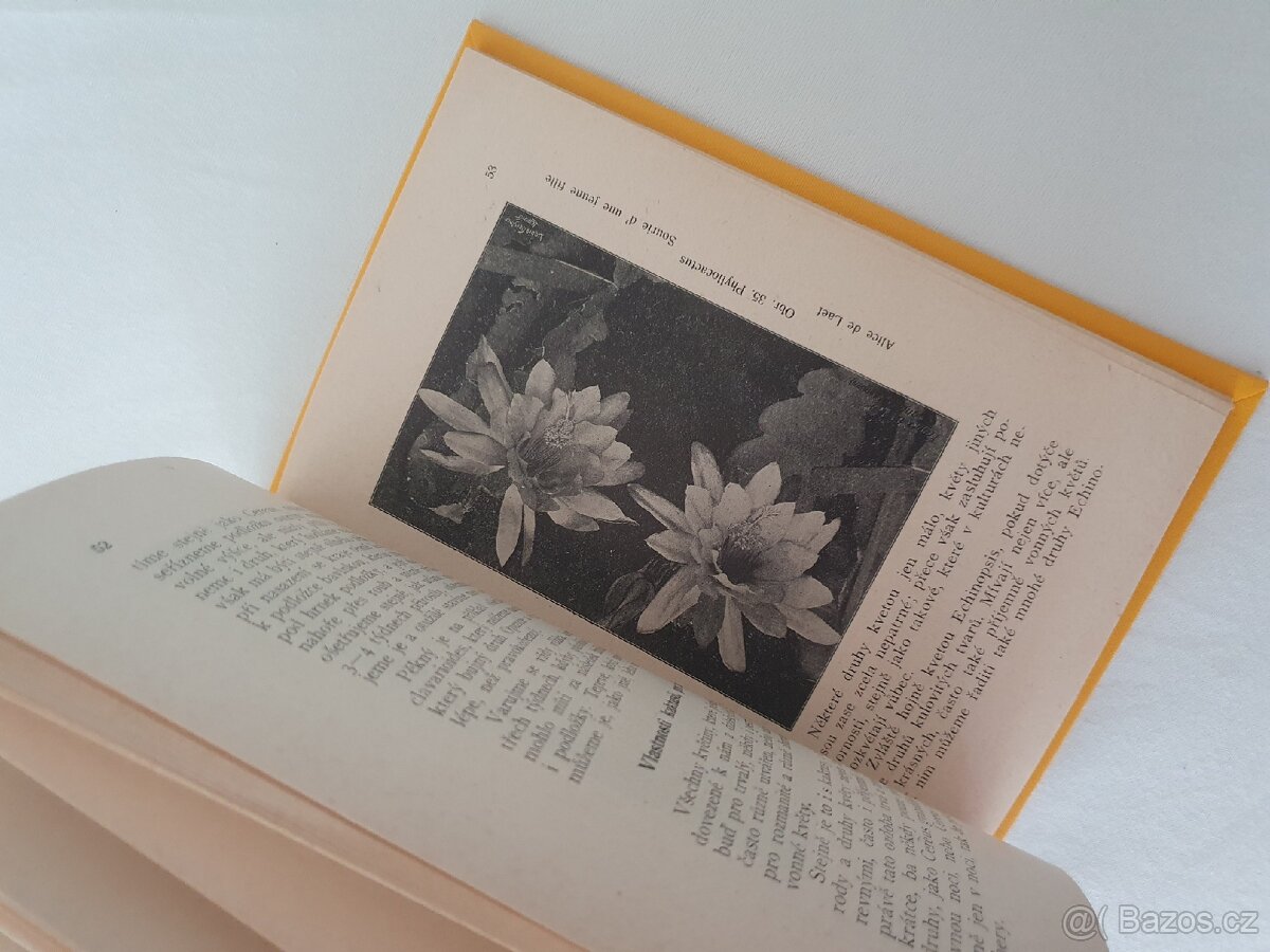 Těšitel : Pěstování kaktusů - 5