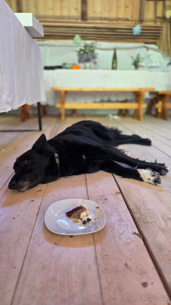 SVATEBNÍ MÍSTO V PŘÍRODĚ A PRO PŘÍRODU - 5