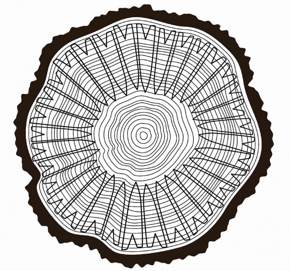 Štípaný smrkový šindel - 5