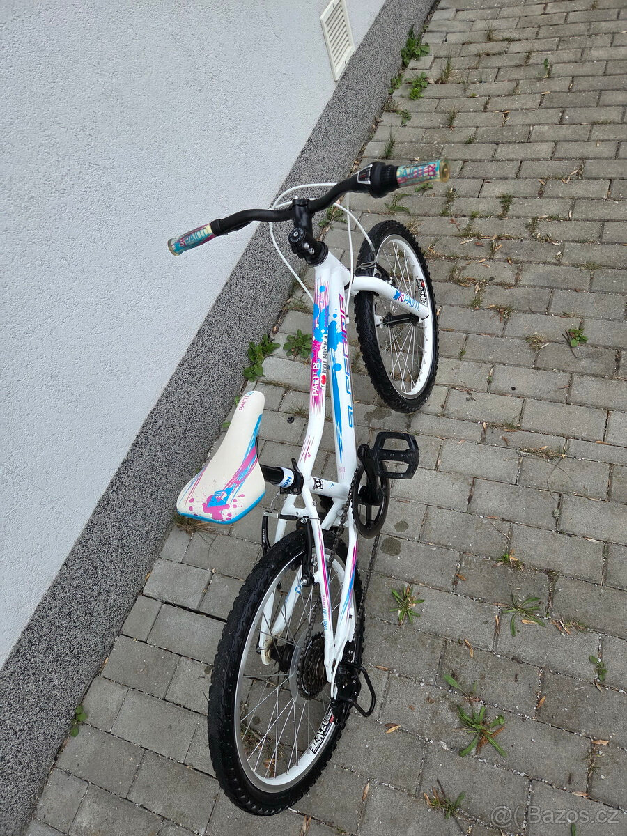 Dětské kolo SUPERIOR Paint 20 - 5