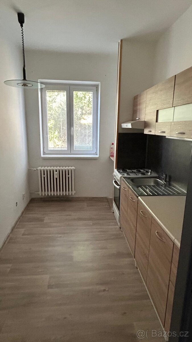 Pronájem bytu 2+1 v Nejdku - 5