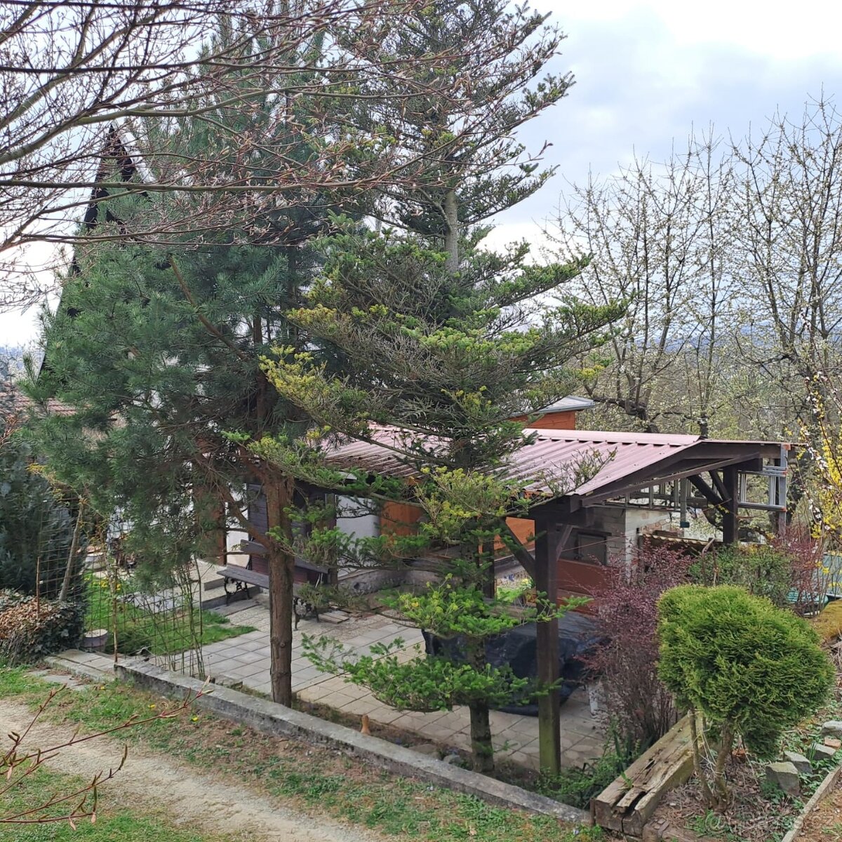 Chata s pozemkem - 5