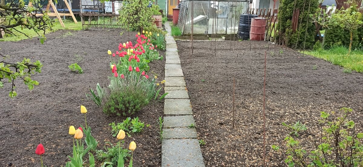 Prodej zahrádky - 5