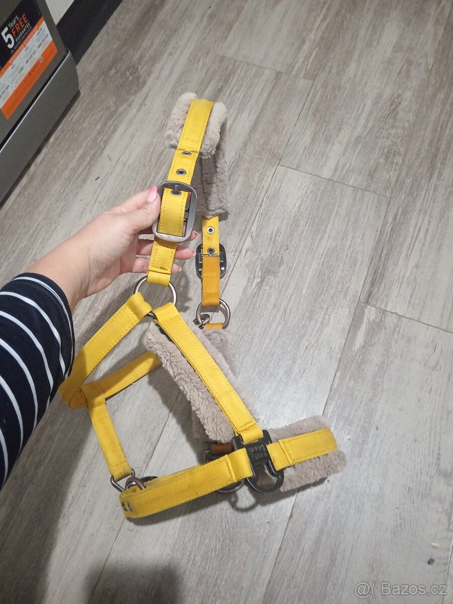 Ohlavka eskadron Vintage gold - 5