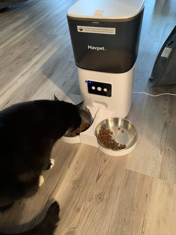 Automatické krmítko / zásobník pro psy a kočky - 5
