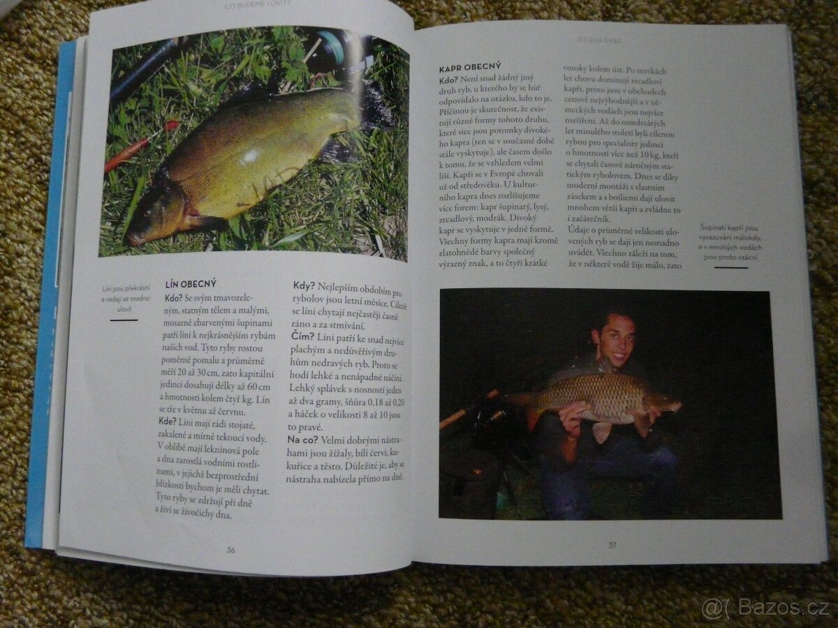 Prodám knihu o rybách - 5