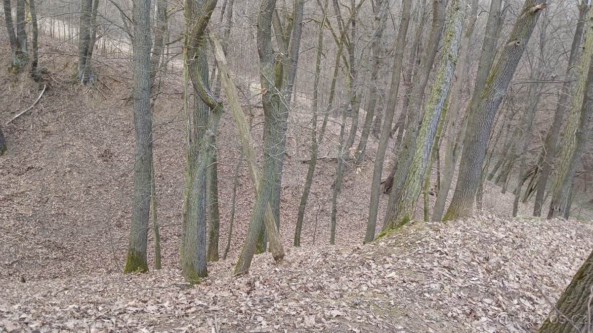 Jalubí - místo pro odpočinek - 5