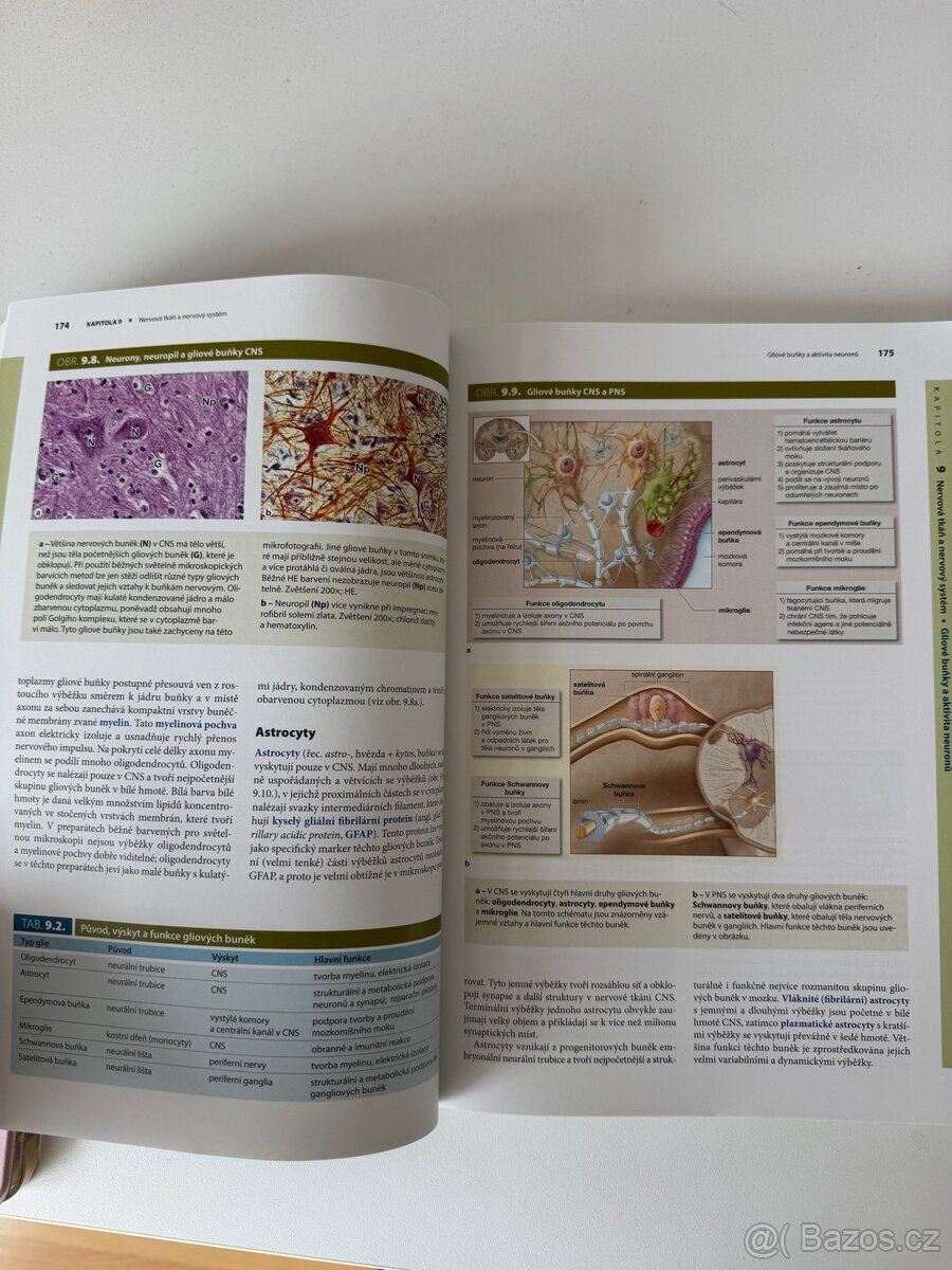 Junqueirovy základy histologie - 5
