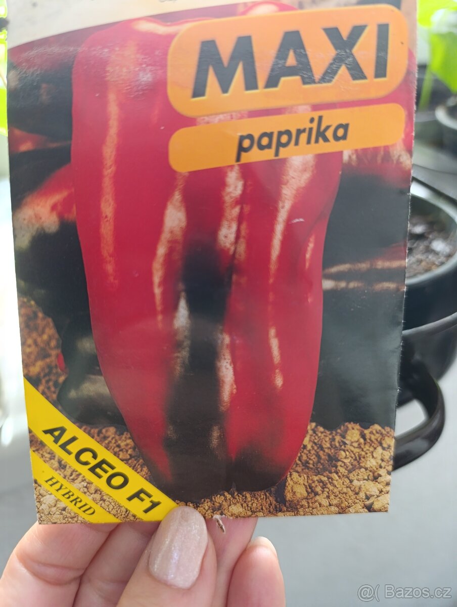 Sazenice rajčat a paprik - 5