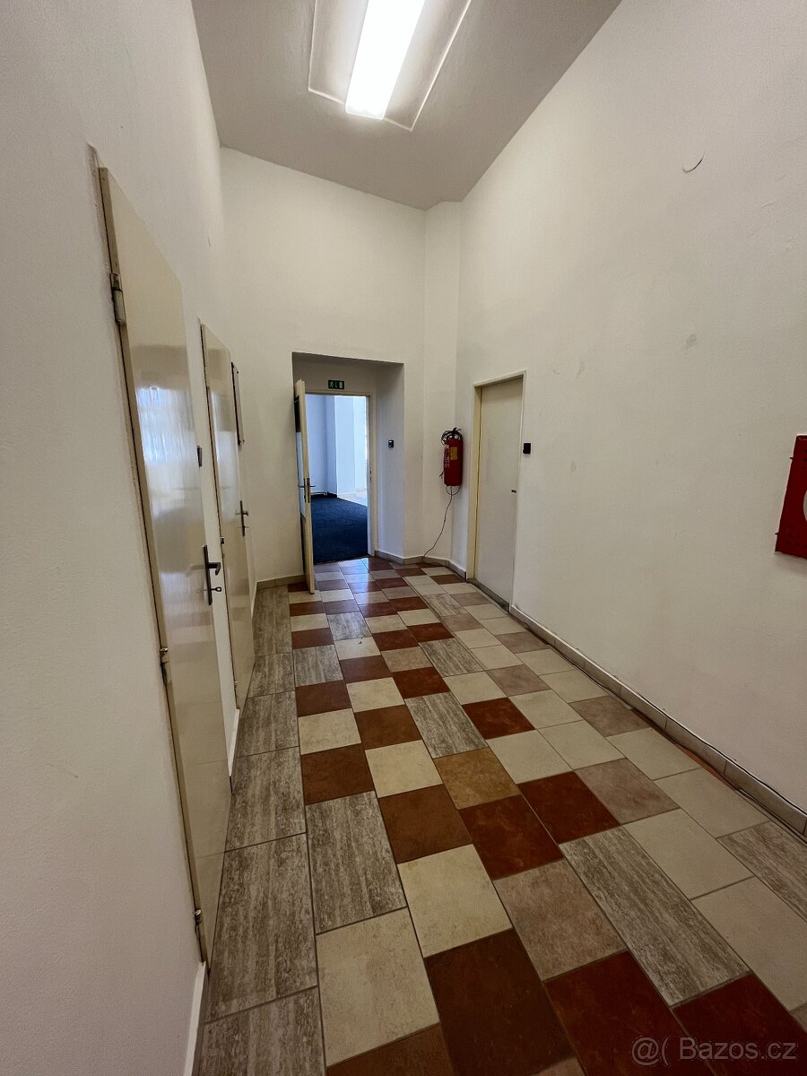 Pronájem nebytových prostor 119 m2 - 5